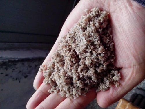 專項整治三年行動丨 攻砂 行動 來看看這個五 ZHI 監管模式