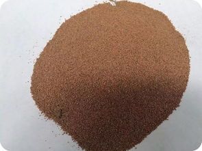 BMW售后活動嘉年華清涼來襲,鉅惠享不停