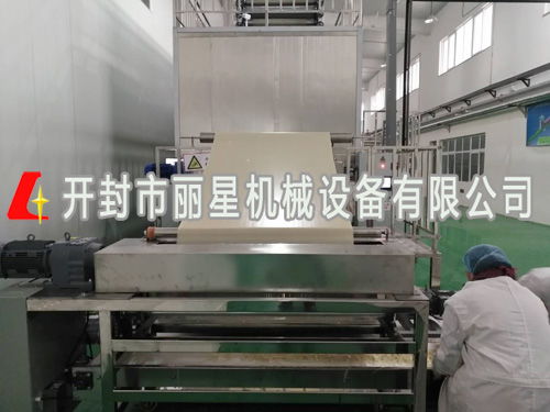 紅薯粉條加工設備廠家 麗星機械 圖