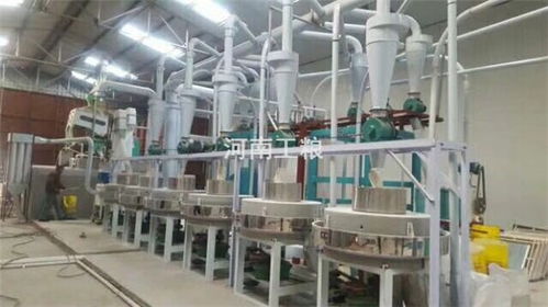 承德市玉米面粉加工設備及價格