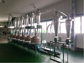 全自動石磨面粉機組 6連型
