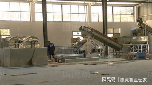 不同廠家的紅薯淀粉加工設備究竟有哪些不同 怎樣篩選不入坑